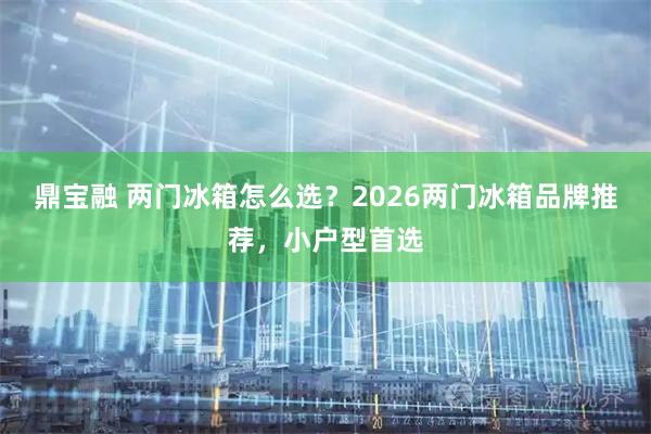 鼎宝融 两门冰箱怎么选？2026两门冰箱品牌推荐，小户型首选